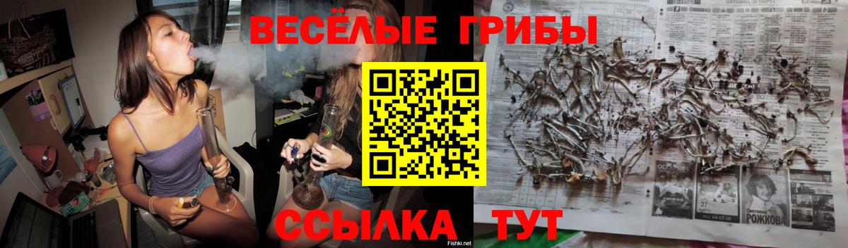 Псилоцибиновые грибы Psilocybine cubensis Азнакаево