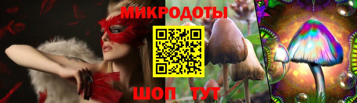 Псилоцибиновые грибы Psilocybine cubensis  Вход с VPN  Азнакаево 